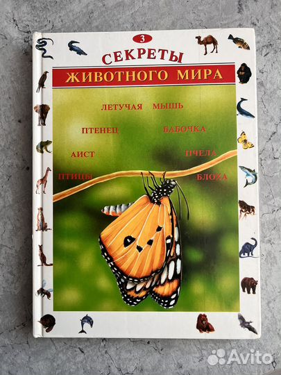 Книга Секреты животного мира