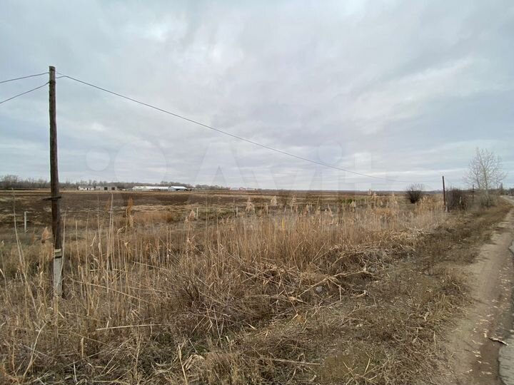 Участок 10 сот. (СНТ, ДНП)