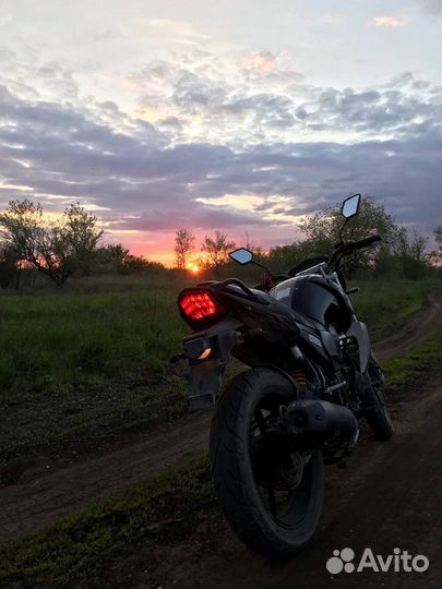 Racer Nitro 250