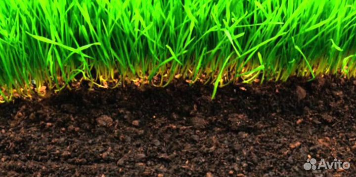 Растительный грунт1