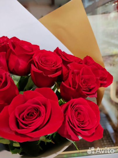 Розы 60см эквадор