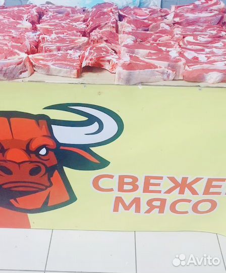 Продам мясо говядина