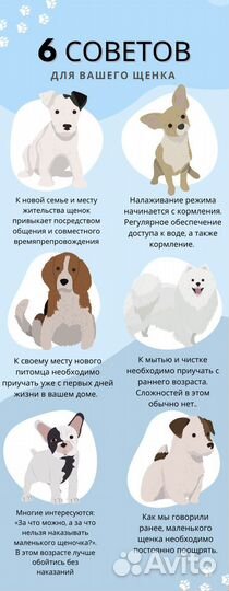 Фотошоп/ Логотип/ Визитка/ Графический дизайн