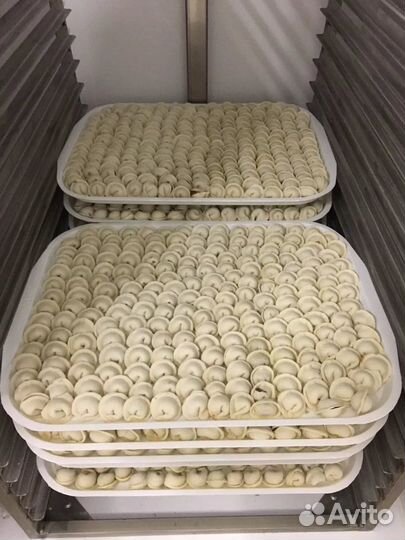 Пельменный мини- цех 200кг/смена