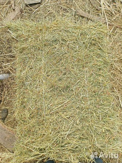 Сено, солома, подстилка в тюках