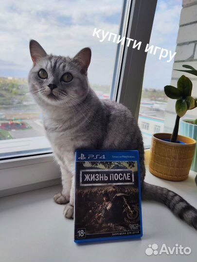 Жизнь После (Days Gone) PS4