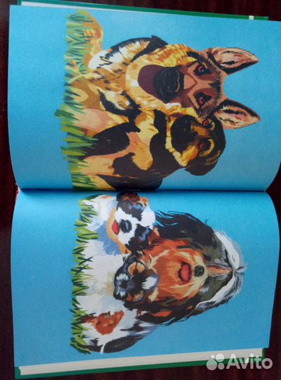 Искусство вышивки. Курс обучения