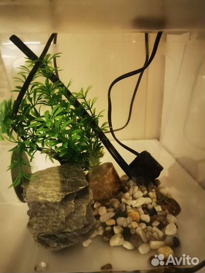 Аквариум, акваферма с рыбками