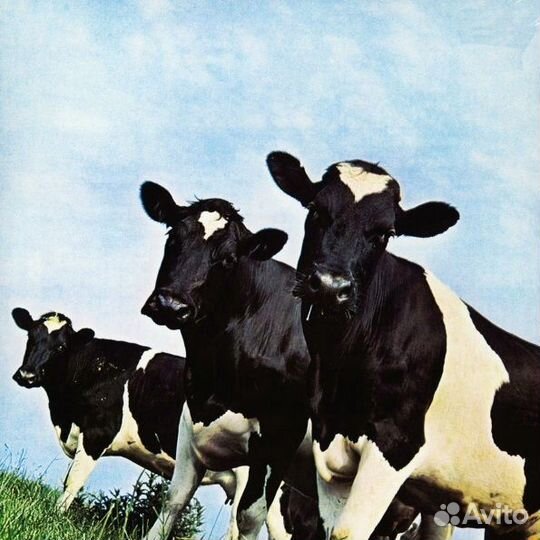 Pink floyd - Atom Heart Mother (LP)
