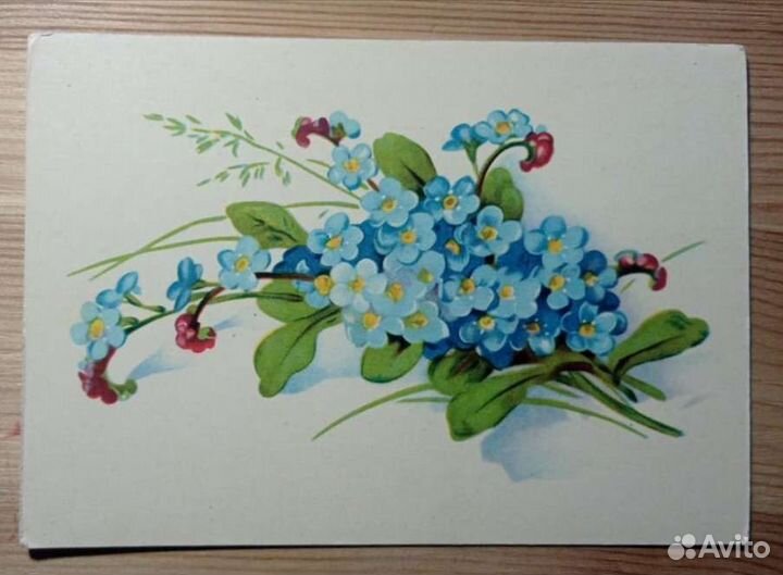 8 открыток с цветами из одной серии 1960е