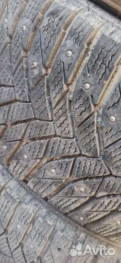 Triangle IcelynX TI501 215/55 R17