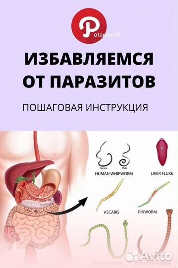 Антипаразитарный антигрибковый мед