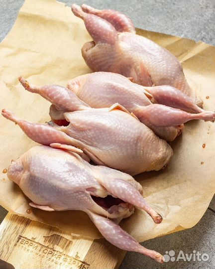 Мясо птицы