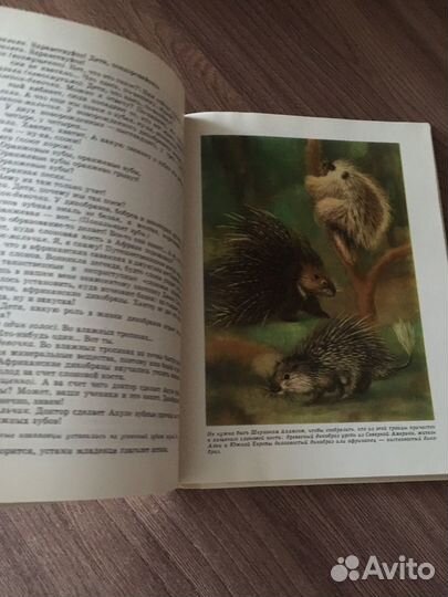 Коапп Коапп Коапп