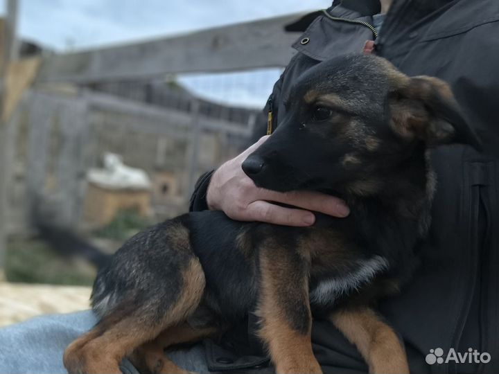 Миша и Соня