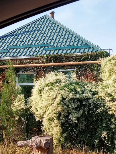 Дом 82 м² на участке 50 сот.