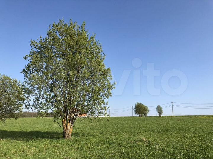 Участок 12,6 сот. (ИЖС)