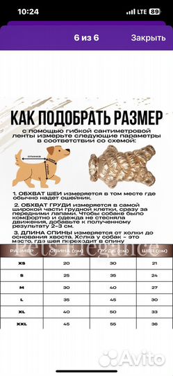 Продам зимний комбинезон для собаки