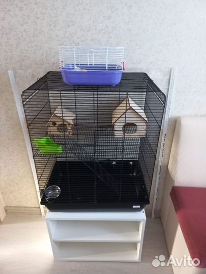 Клетка для грызунов inter zoo remy Black - 4 этажа