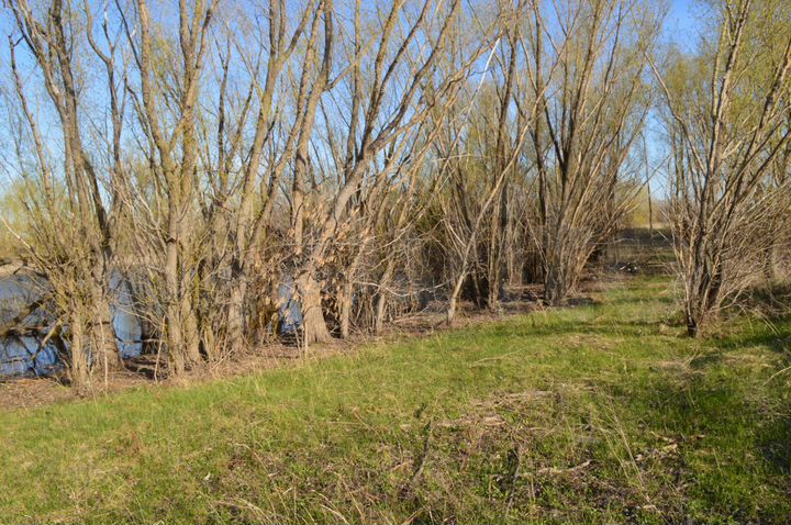 Участок 2 га (СНТ, ДНП)