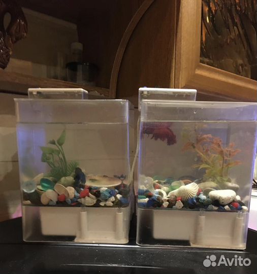 Аквариум с рыбками