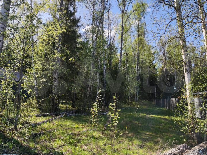 Участок 14,2 сот. (ИЖС)