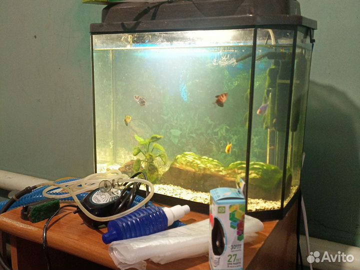 Аквариум