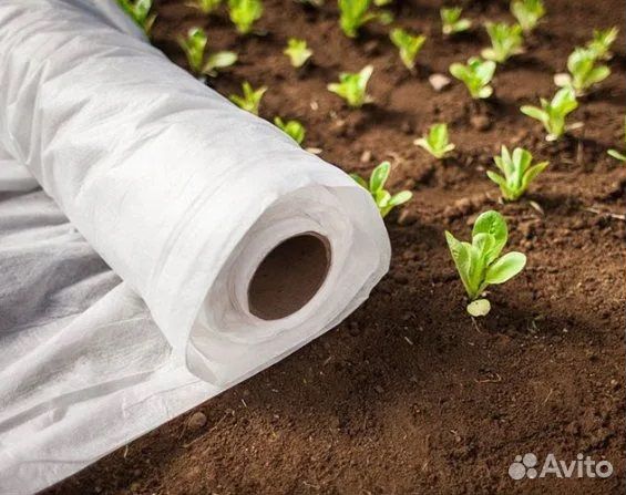 Агроспанбонд, укрывной материал, спанбонд