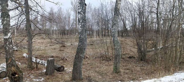 Участок 25 сот. (ИЖС)