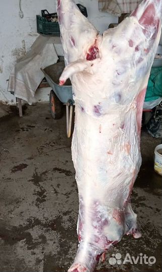Барашки бараны (Халяль)