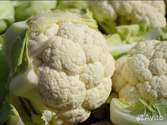 Семена овощей Морковка,Капуста,Зелень и тд