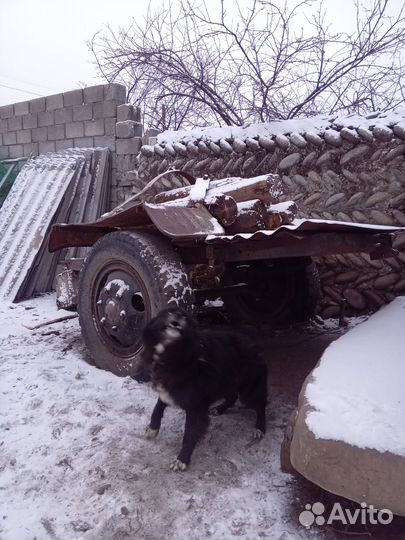 Прицеп легковой бу