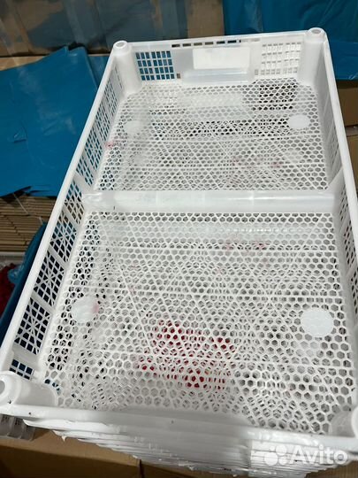 Пластиковые ящики для ягод, фруктов и грибов