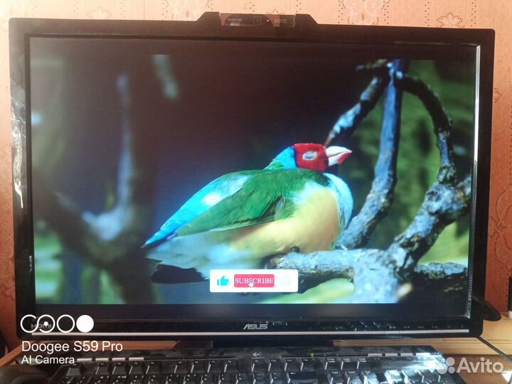 Asus vk266h Монитор 26 27