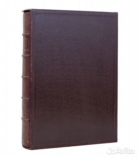 Невский проспект. Культурно-исторический очерк дву