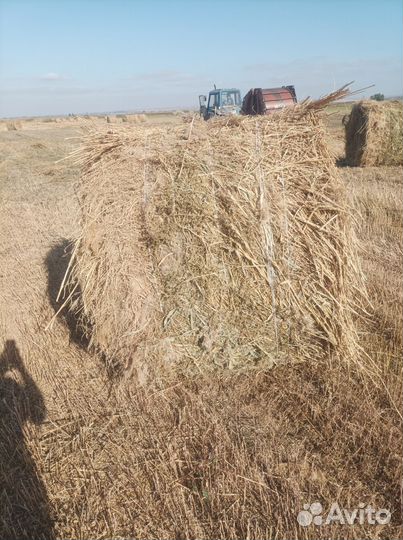 Сено в рулонах