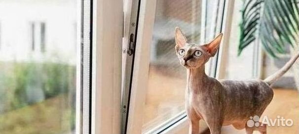 Пластиковые окна rehau