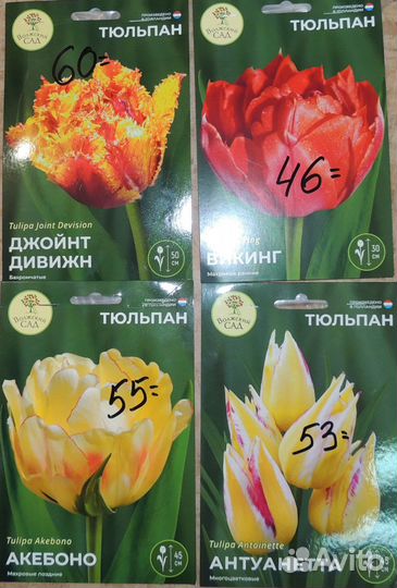 Тюльпан. Нарцисс. Гиацинт. Крокус