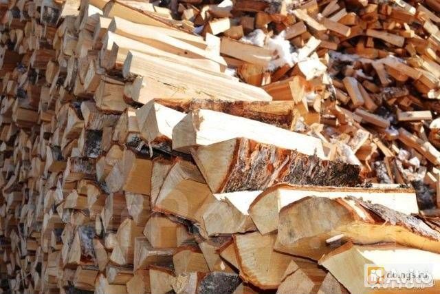 Дрова береза