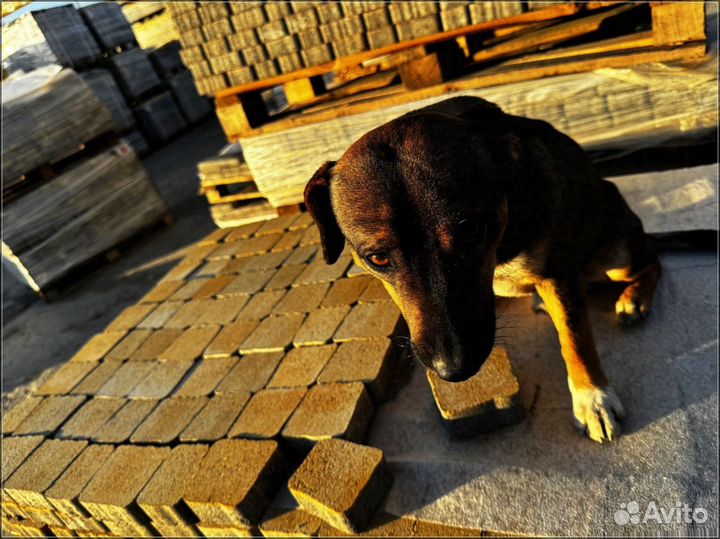 Плитка тротуарная минимальный заказ 120 м2