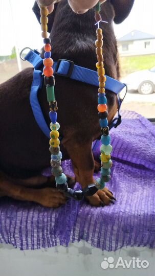 Копанина. Бусы. Сарматы. 5-7 век