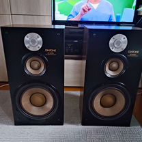 Легендарный diatone DS 900EX