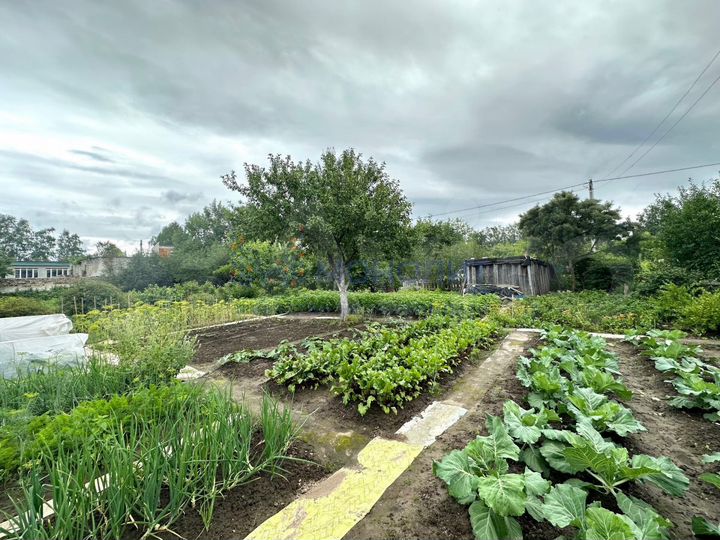 Участок 8 сот. (ИЖС)