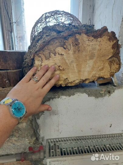 Кап березовый