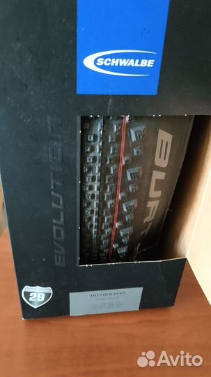 Schwalbe thunder burt 29