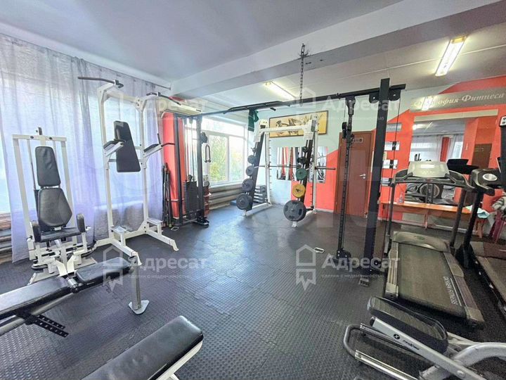 Сдам помещение свободного назначения, 55.6 м²