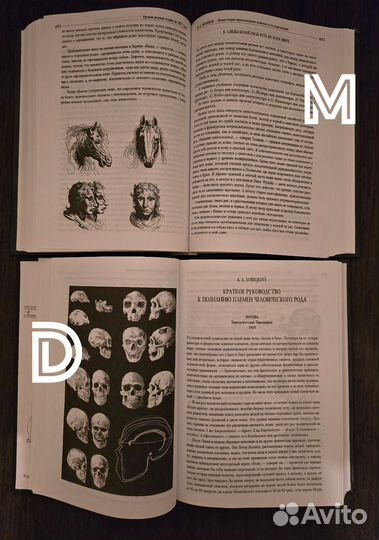 Расовая теория