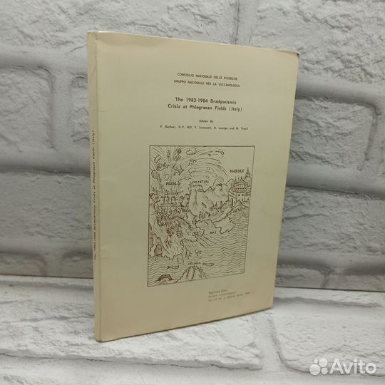 The 1982-1984 Bradyseismic Crisis AT Phlegraean Fields (Italy)