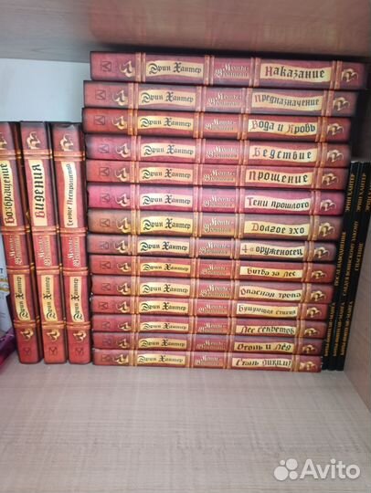 Книги коты воители