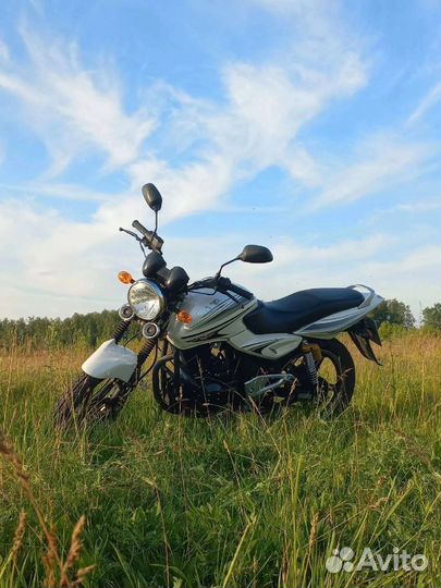 Racer magnum 250 c5b